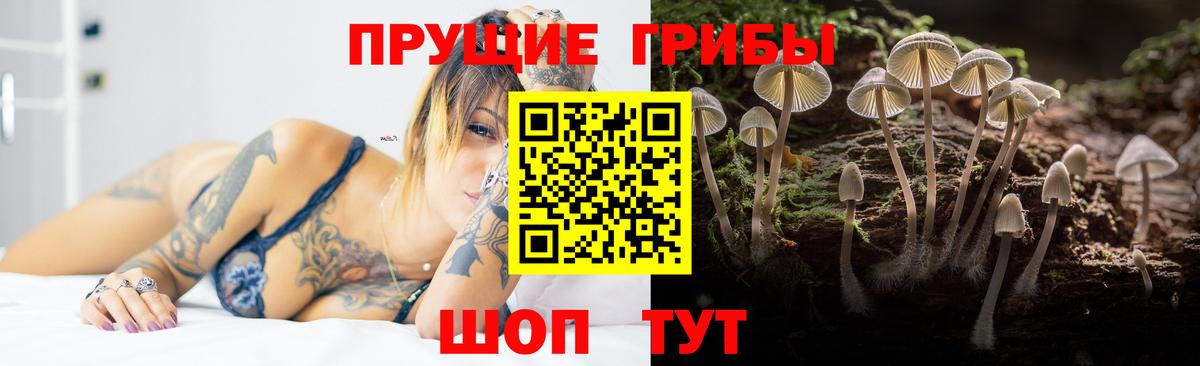 Галлюциногенные грибы Psilocybe Кирово-Чепецк